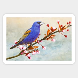 Blue Grosbeak Sticker